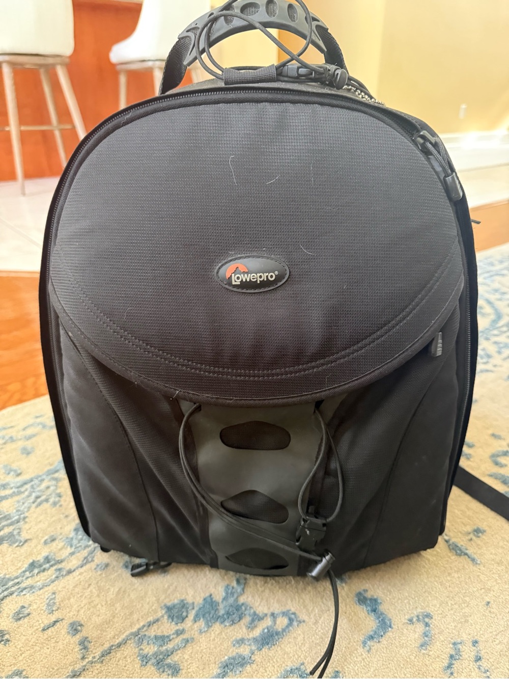 Lowepro Black Portable Camera Backpack. Used but in good condition